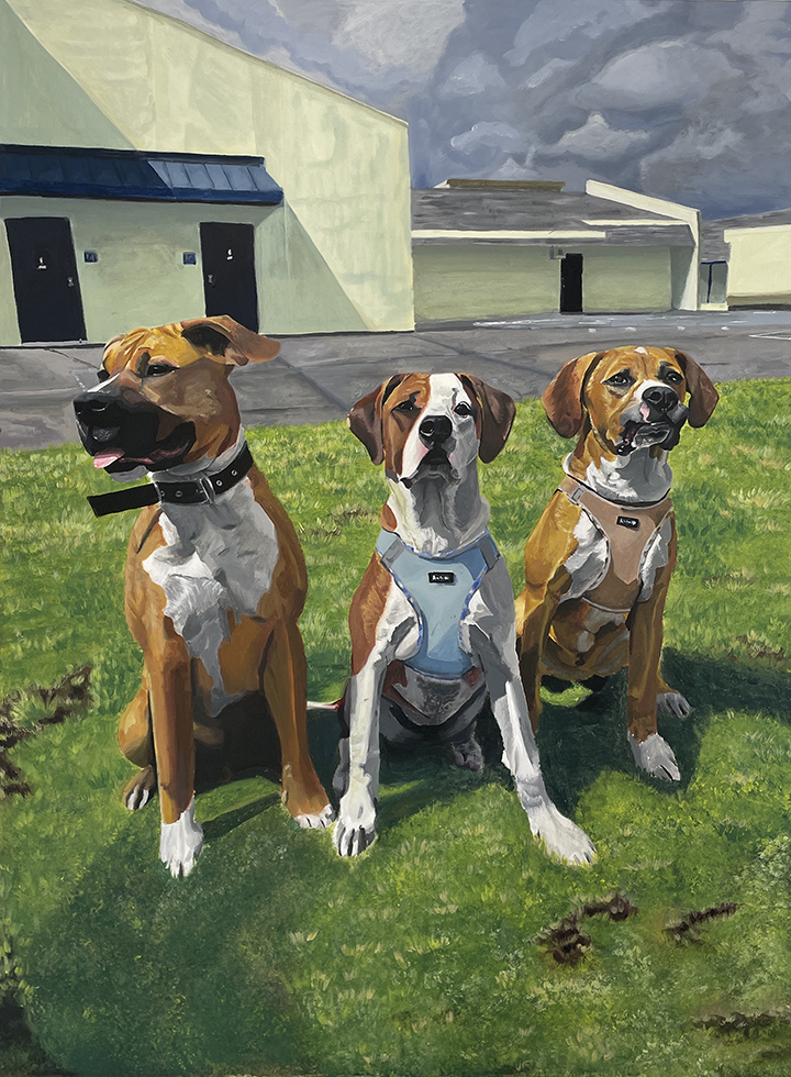 acrylic paint of three boxers sitting on the grass in front of a tan building