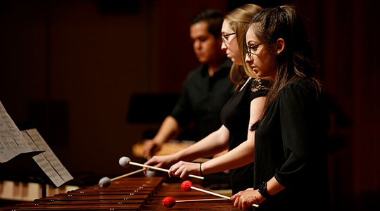Students on the xylophone 