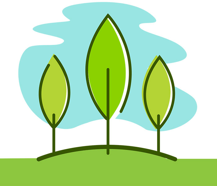 illustration of plant leaves growing from a green ground in front of a light blue sky