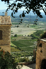 Countryside in Venice