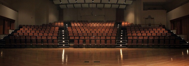 Concert Hall Seating 3 Sections 