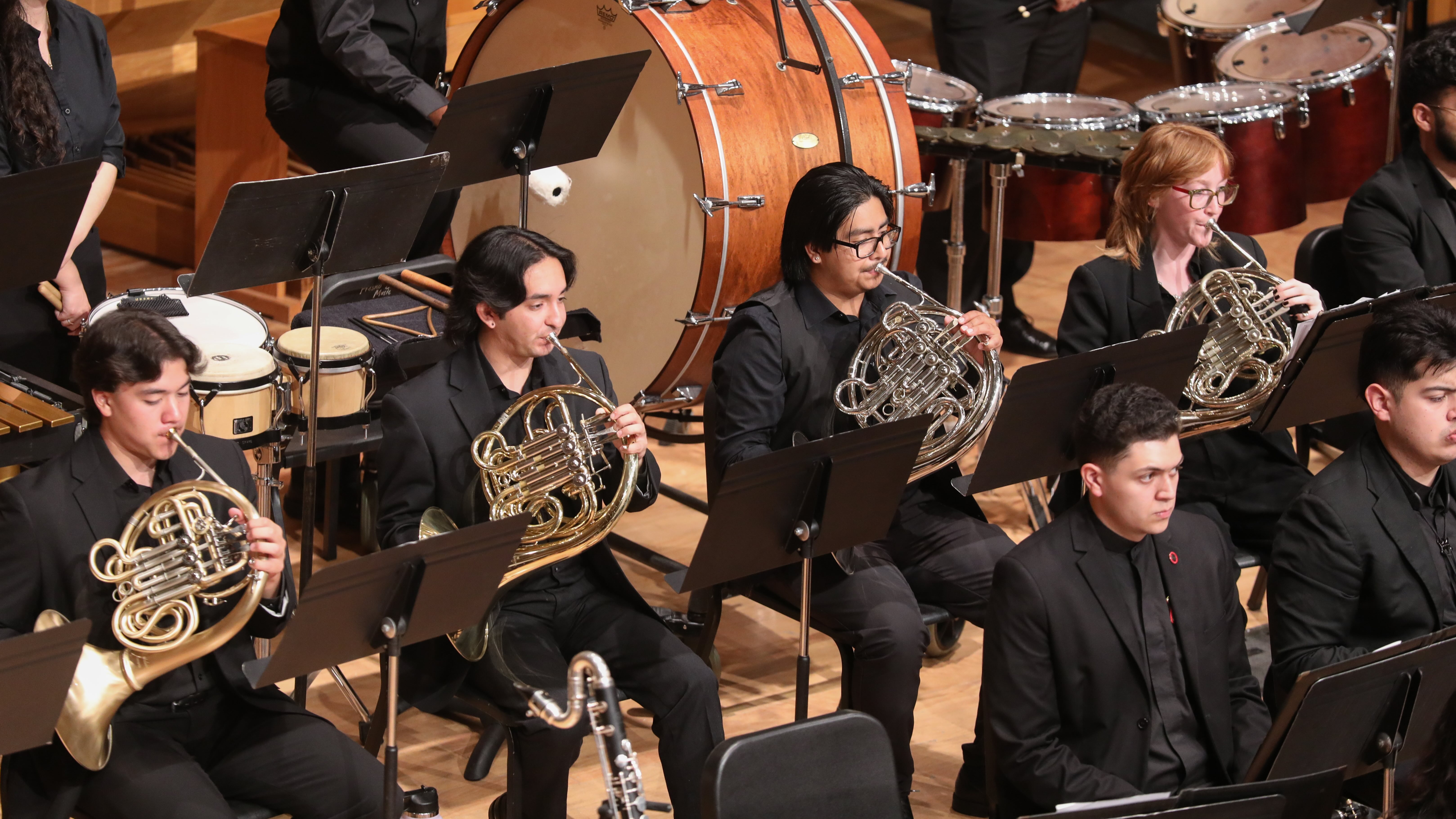 French Horn 2