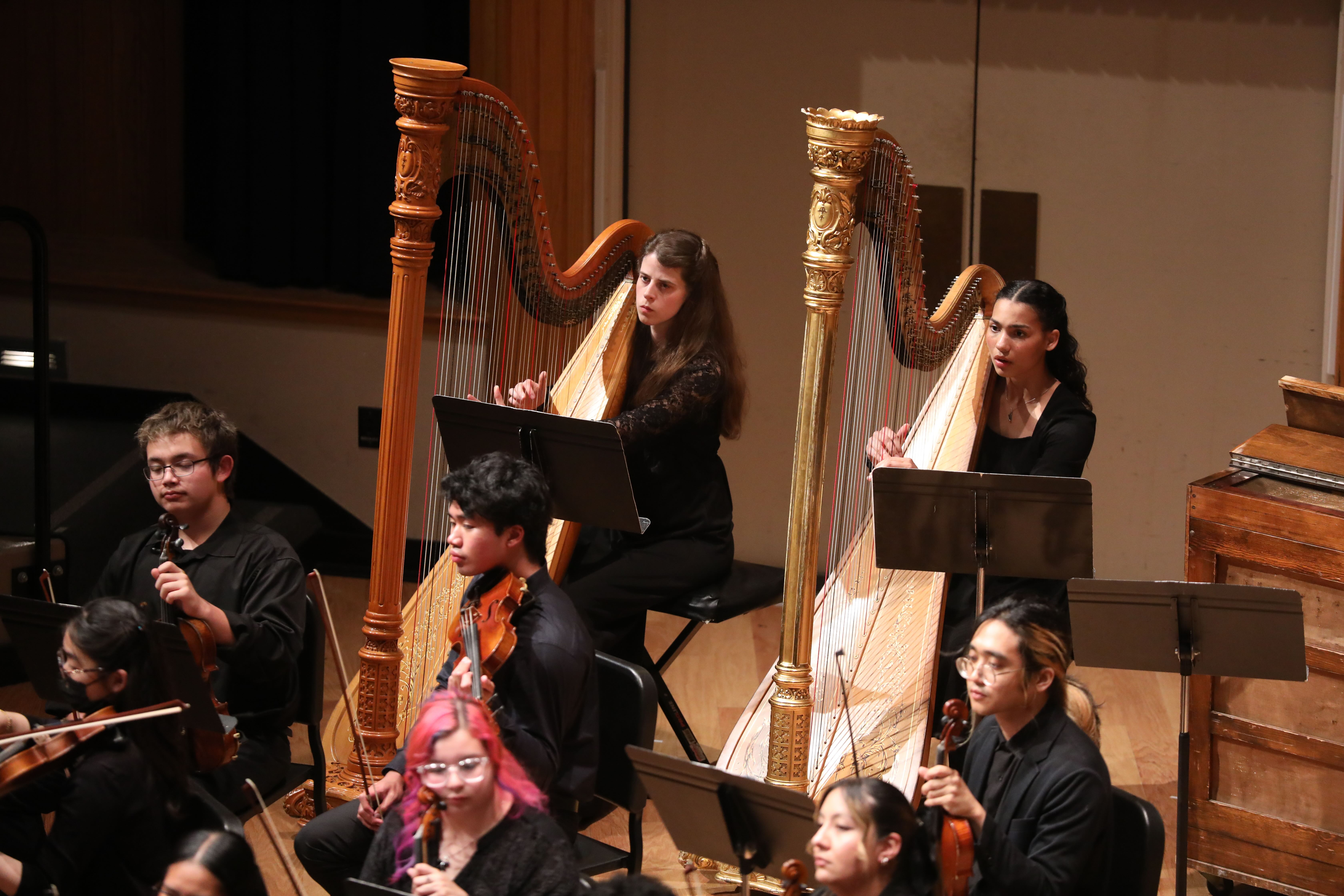 Harp 2