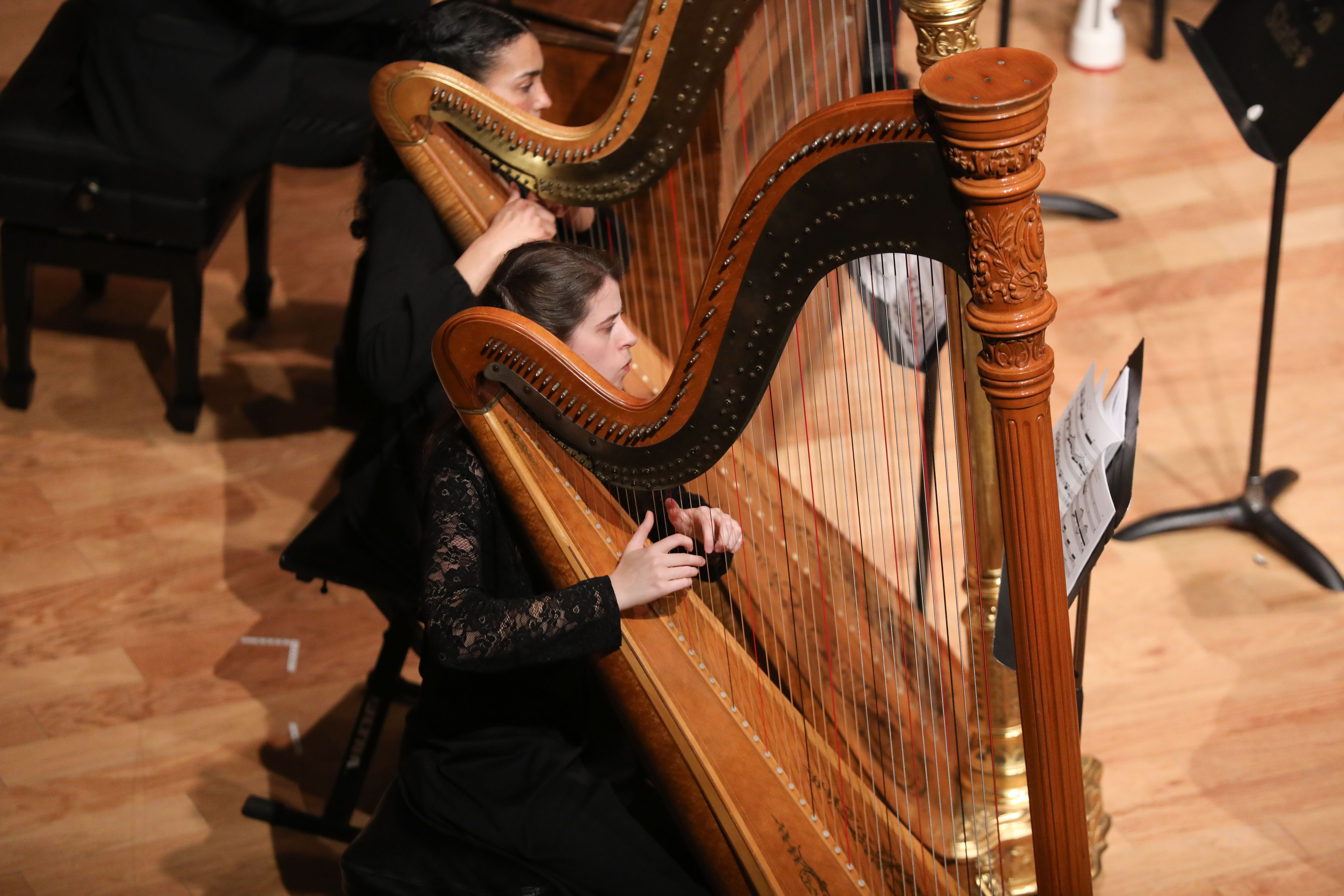 Harp